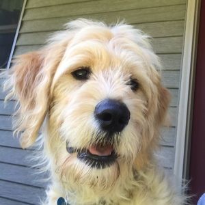 Meet your Posher, Gina